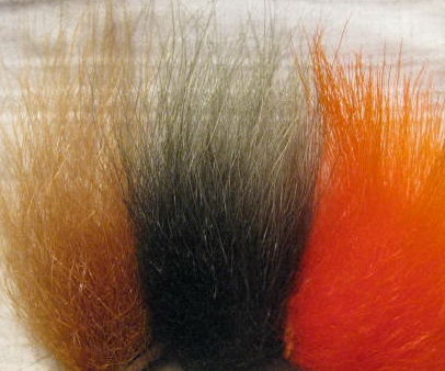 polar bear mix trout